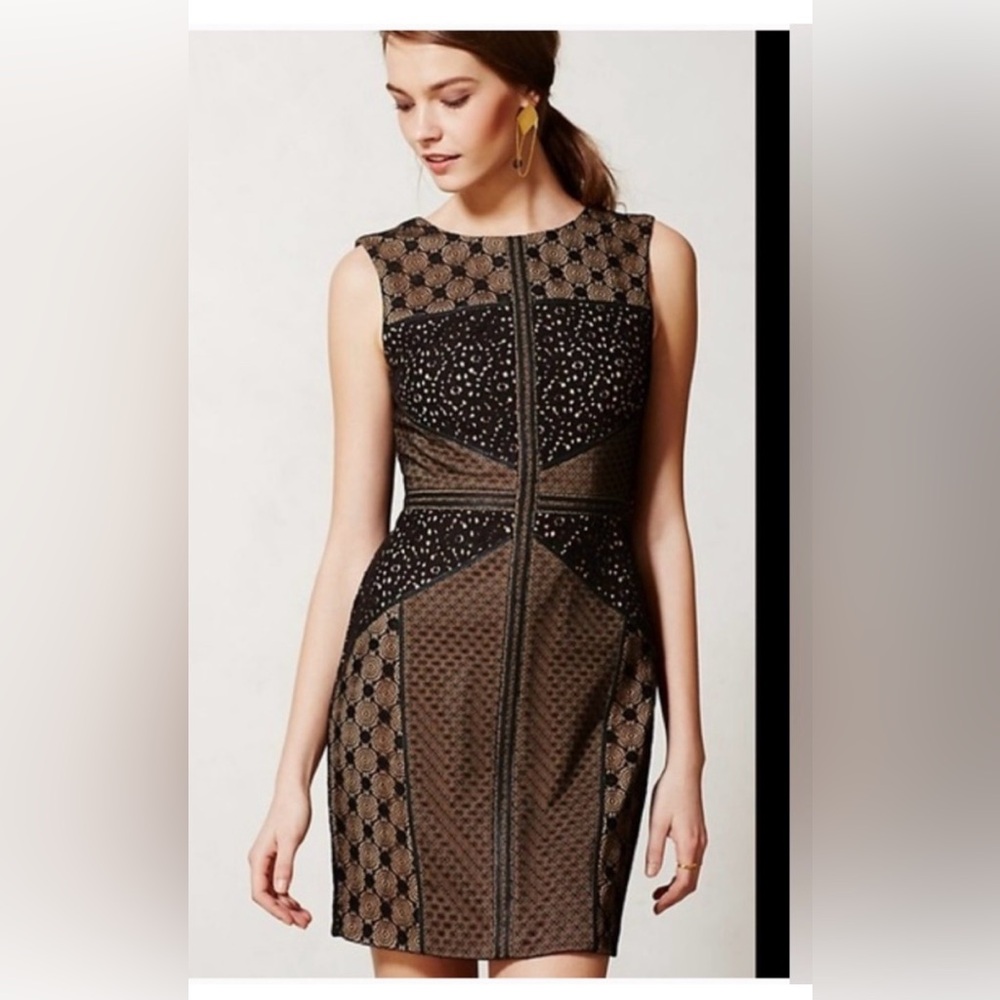 Anthropologie  Heartloom Lace Topography Sheath Elegant Sleeveless Dress M